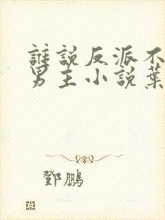 谁说反派不能当男主小说叶玄