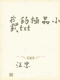 我的极品小姨下载txt