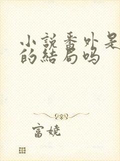 小说番外是真正的结局吗