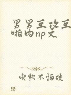 男男互攻互受h啪肉np文