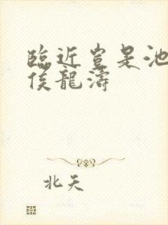 临近岂是池中物侯龙涛封面