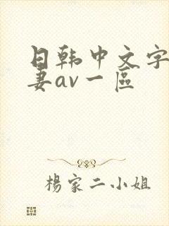 日韩中文字幕人妻av一区