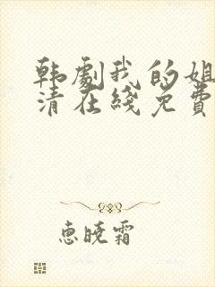 韩剧我的姐姐高清在线免费观看封面