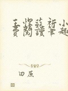 王悍苏祈小说免费阅读笔趣阁最新