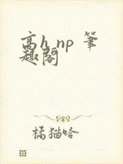 高h np 笔趣阁