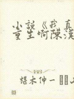 小说《我真没想重生啊陈汉升》