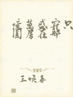 亿万盛宠只为你圆房在哪