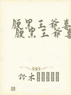 腹黑王爷喜当爹 腹黑王爷喜当爹