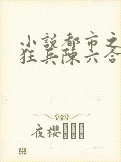 小说都市之最强狂兵陈六合