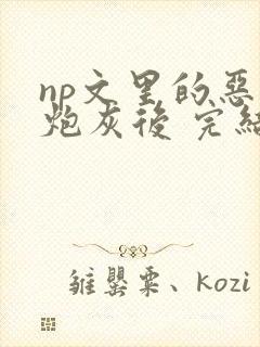 np文里的恶毒炮灰后 完结 番外
