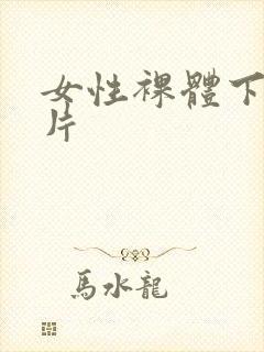 女性裸体下身照片