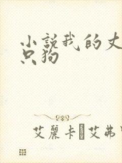 小说我的丈夫是只狗