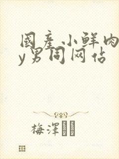 国产小鲜肉gay男同网站封面