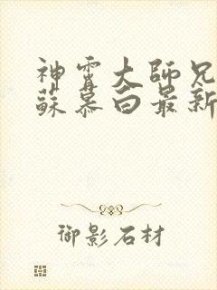 神霄大师兄林枫苏慕白最新章节