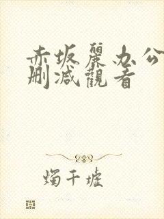 赤坂丽办公室无删减观看