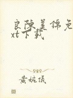 良陈美锦免费txt下载