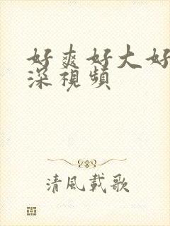 好爽好大好硬好深视频