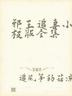 邪王追妻小说精校版全集