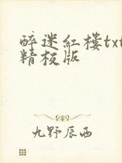 醉迷红楼txt精校版封面