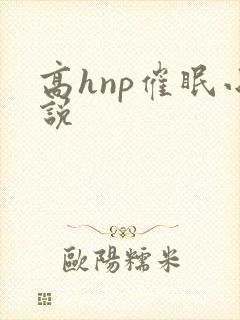 高hnp催眠小说