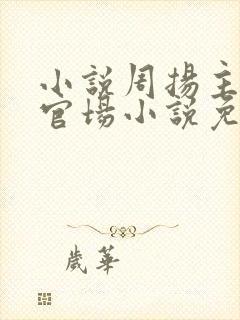 小说周扬主角的官场小说免费阅读