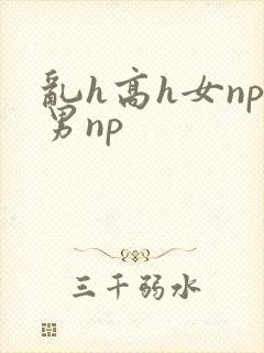 乱h高h女np男np