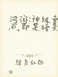 网游:神级刺客,我即是暗影漫画