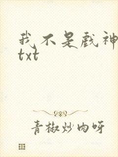 我不是戏神小说txt