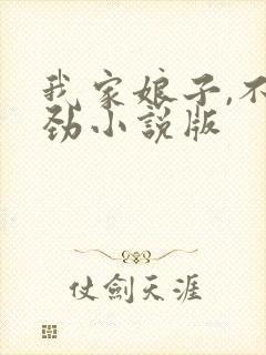 我家娘子,不对劲小说版封面