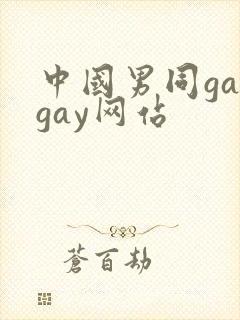 中国男同gaygay网站封面