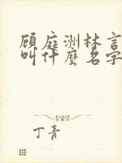 顾庭洲林言小说叫什么名字