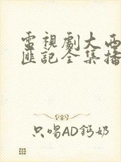 电视剧大西南剿匪记全集播放