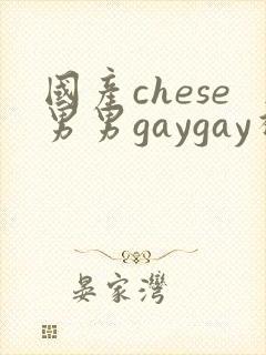 国产chese男男gaygay视频网站