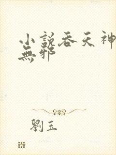 小说吞天神鼎柳无邪