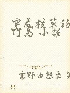 穿成校草的炮灰竹马 小说