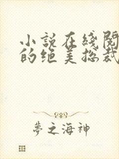 小说在线阅读我的绝美总裁老婆