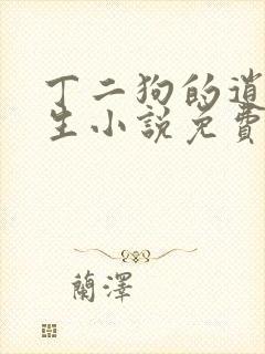 丁二狗的逍遥人生小说免费阅读