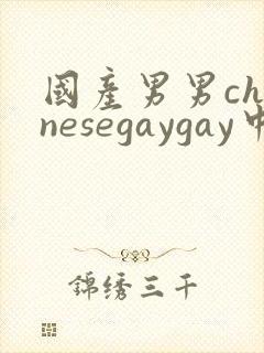 国产男男chinesegaygay中国帅哥网站