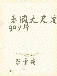 泰国大尺度真做gay片