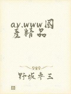 av.www国产精品