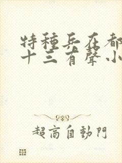 特种兵在都市夜十三有声小说