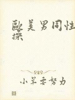 欧美男同性恋互操