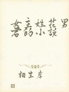女主姓花男主姓君的小说封面