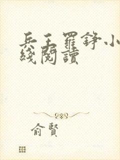 兵王罗铮小说在线阅读