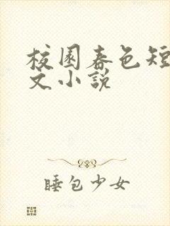 校园春色短篇辣文小说封面