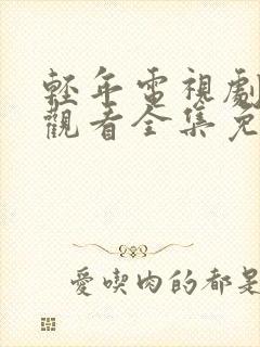 轻年电视剧在线观看全集免费一共多少集