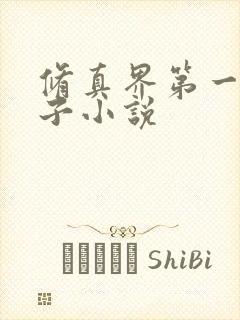 修真界第一病秧子小说封面