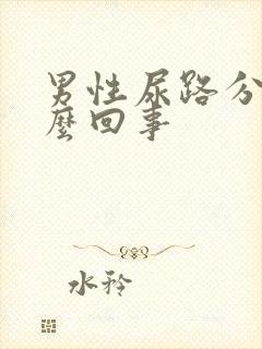 男性尿路分叉怎么回事封面