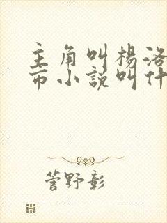 主角叫杨洛的都市小说叫什么名字