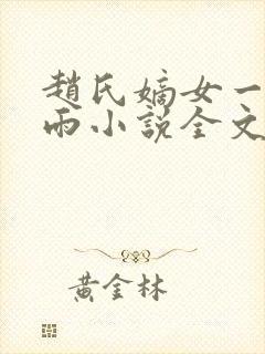 赵氏嫡女一蓑烟雨小说全文免费txt封面